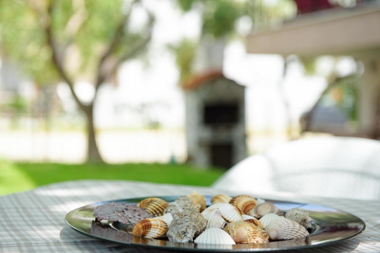 Dili Apartments Ιερισσός Εξωτερικό φωτογραφία